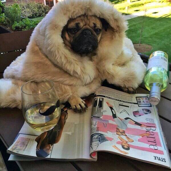 Morning Picdump