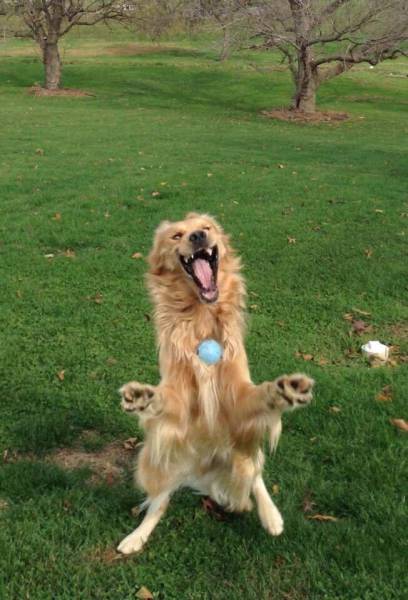 Morning Picdump
