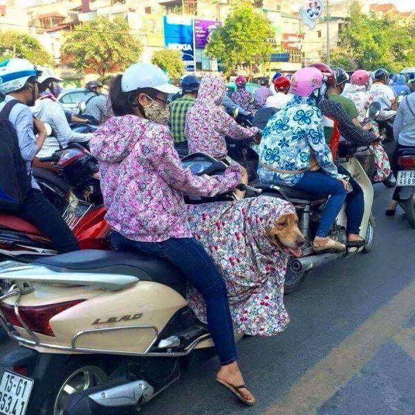 morning picdump 53 pics 24.html - 53 HD Photos | Premium Gallery 2017