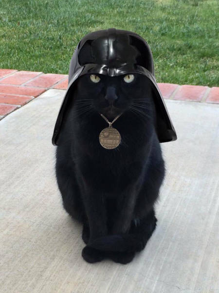 morning picdump 53 pics 24.html - 53 HD Photos | Premium Gallery 2017