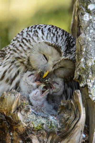 morning picdump 53 pics 24.html - 53 HD Photos | Premium Gallery 2017