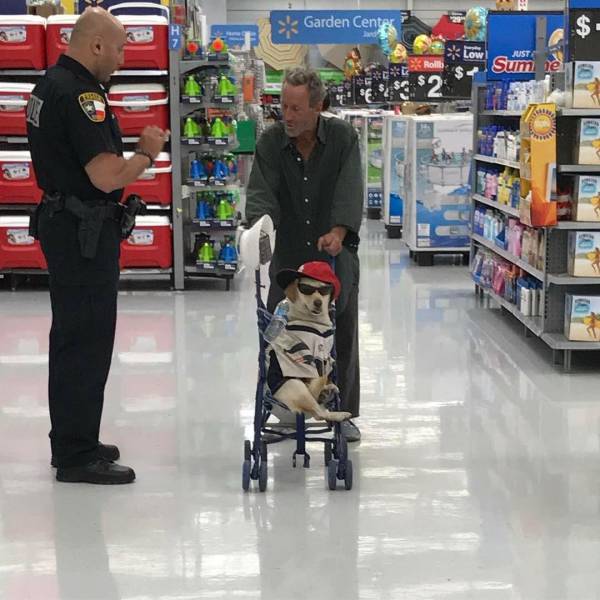 morning picdump 53 pics 24.html - 53 HD Photos | Premium Gallery 2017