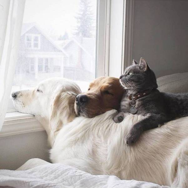 Daily Picdump