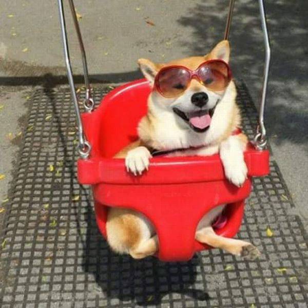 Daily Picdump
