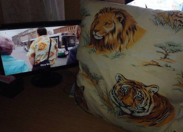 Daily Picdump