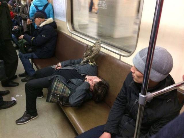 Daily Picdump