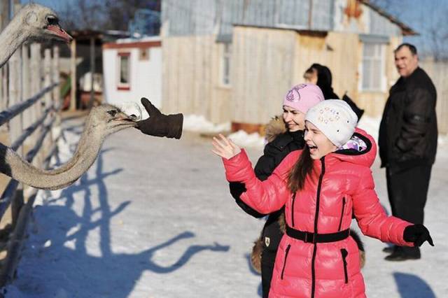 Daily Picdump