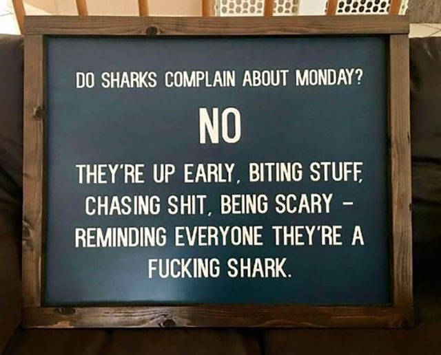 morning picdump 51 pics 1.html - 51 HD Photos | Premium Gallery 2017