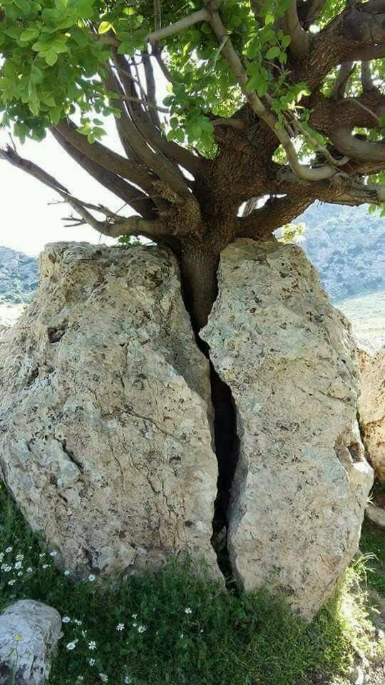 morning picdump 51 pics 1.html - 51 HD Photos | Premium Gallery 2017