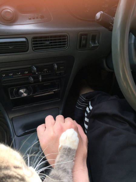 Morning Picdump