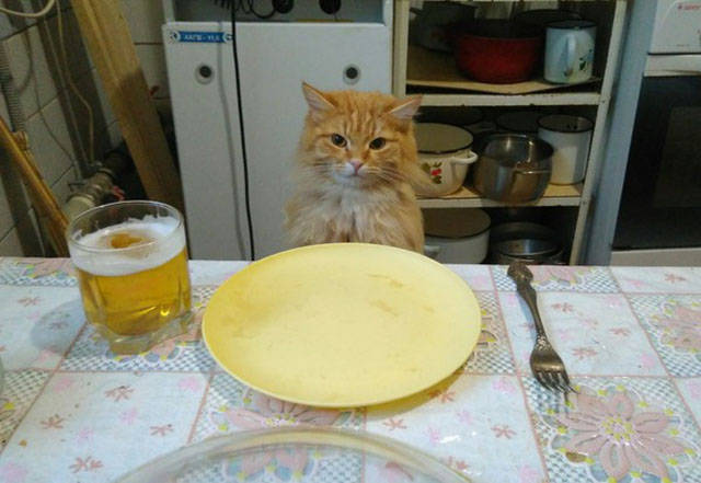 Morning Picdump