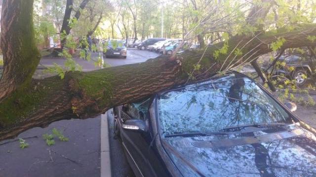 daily picdump 95 pics 34.html - 95 HD Photos | Premium Gallery 2017