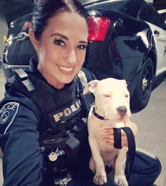 daily picdump 95 pics 34.html - 95 HD Photos | Premium Gallery 2017