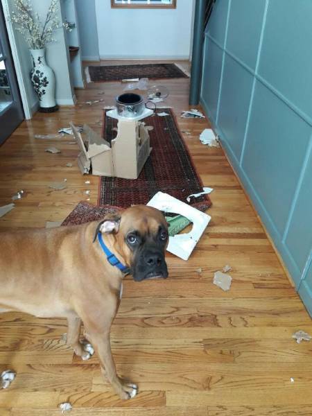 daily picdump 95 pics 34.html - 95 HD Photos | Premium Gallery 2017