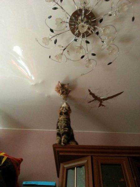 daily picdump 95 pics 34.html - 95 HD Photos | Premium Gallery 2017