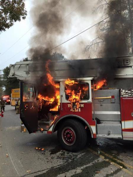 daily picdump 95 pics 34.html - 95 HD Photos | Premium Gallery 2017