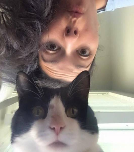 daily picdump 95 pics 34.html - 95 HD Photos | Premium Gallery 2017