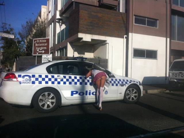 grownup corner 59 pics 8 gifs 11.html - 59 HD GIF | Premium Gallery 2017