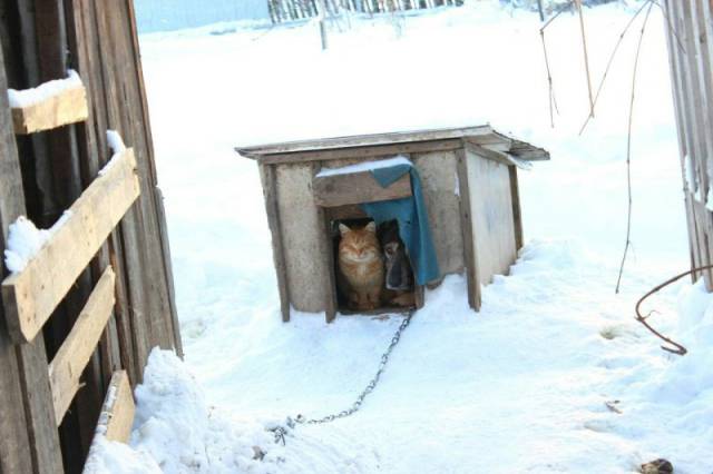 Morning Picdump