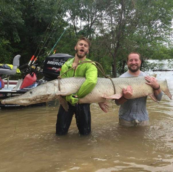 morning picdump 51 pics 1.html - 51 HD Photos | Premium Gallery 2017
