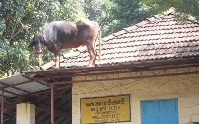 Daily Picdump [WEEKEND EDITION]