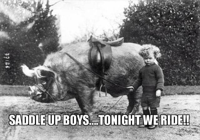Daily Picdump [WEEKEND EDITION]