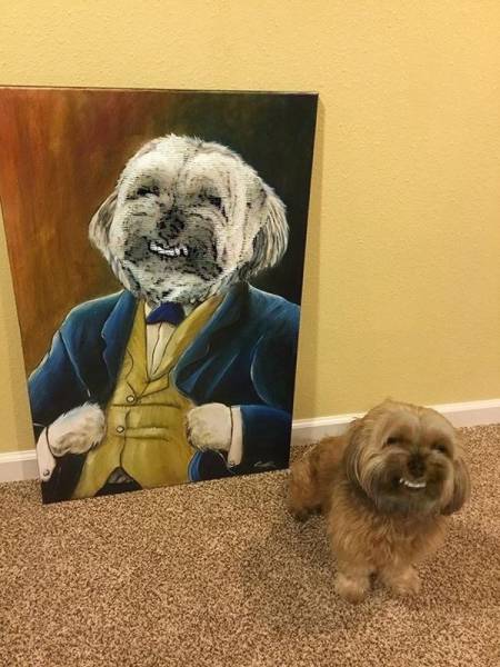Daily Picdump