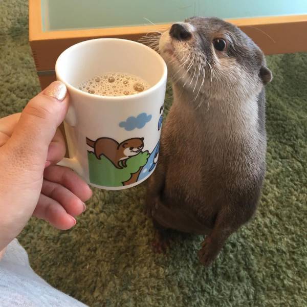 Daily Picdump