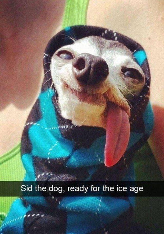 Daily Picdump