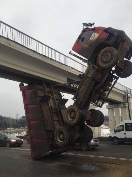 Daily Picdump