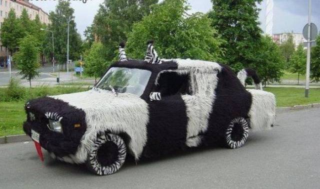 Daily Picdump