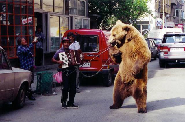 Daily Picdump