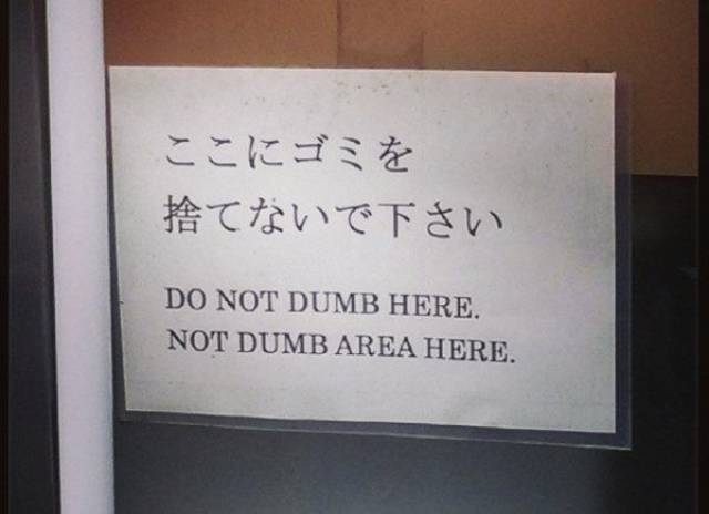 Daily Picdump