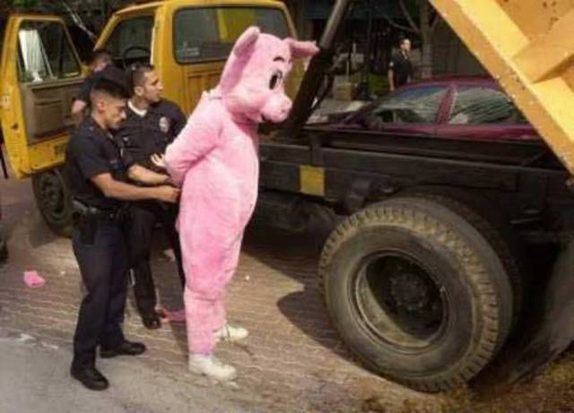 daily picdump 98 pics 26.html - 98 HD Photos | Premium Gallery 2017