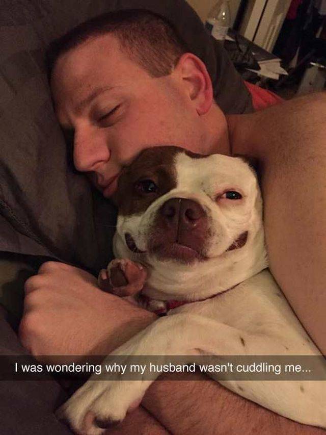 Daily Picdump