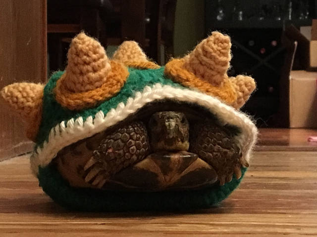 morning picdump 50 pics 14.html - 50 HD Photos | Premium Gallery 2017