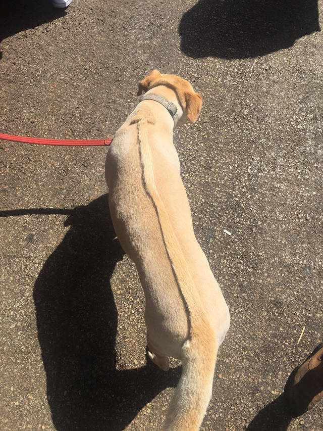 morning picdump 50 pics 14.html - 50 HD Photos | Premium Gallery 2017