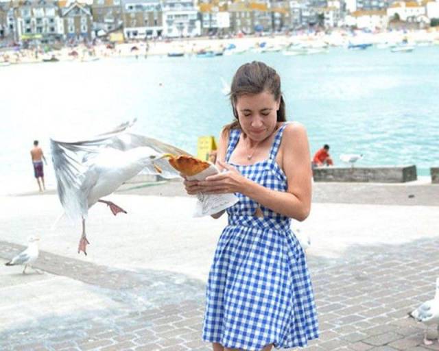 daily picdump 98 pics 37.html - 98 HD Photos | Premium Gallery 2017