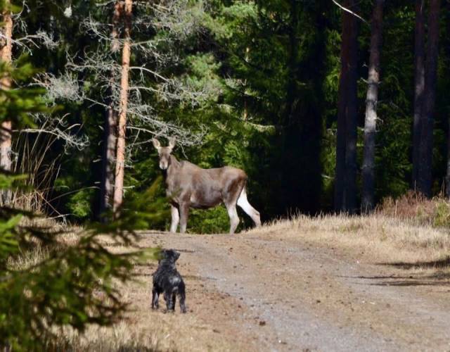 daily picdump 98 pics 37.html - 98 HD Photos | Premium Gallery 2017