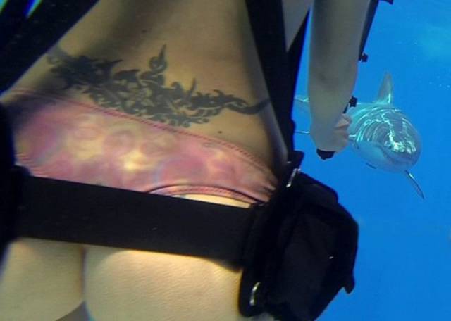 daily picdump 98 pics 37.html - 98 HD Photos | Premium Gallery 2017