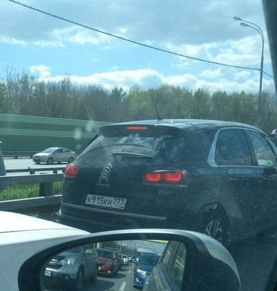 daily picdump 98 pics 37.html - 98 HD Photos | Premium Gallery 2017