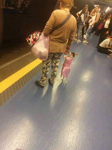 daily picdump 98 pics 37.html - 98 HD Photos | Premium Gallery 2017