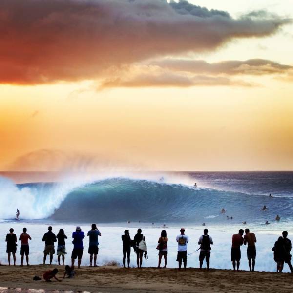 daily picdump 98 pics 37.html - 98 HD Photos | Premium Gallery 2017