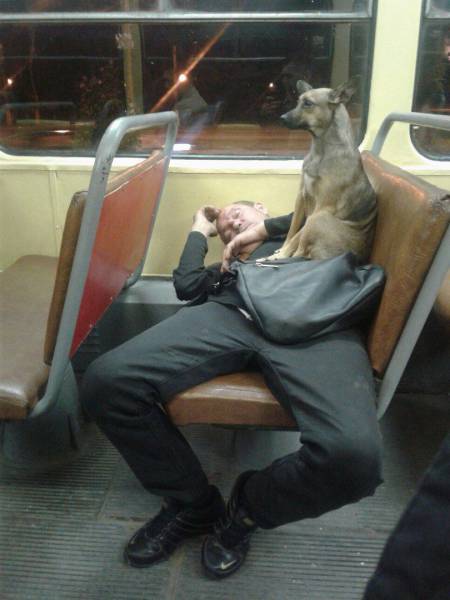 daily picdump 98 pics 37.html - 98 HD Photos | Premium Gallery 2017