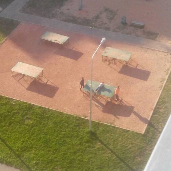 daily picdump 98 pics 37.html - 98 HD Photos | Premium Gallery 2017