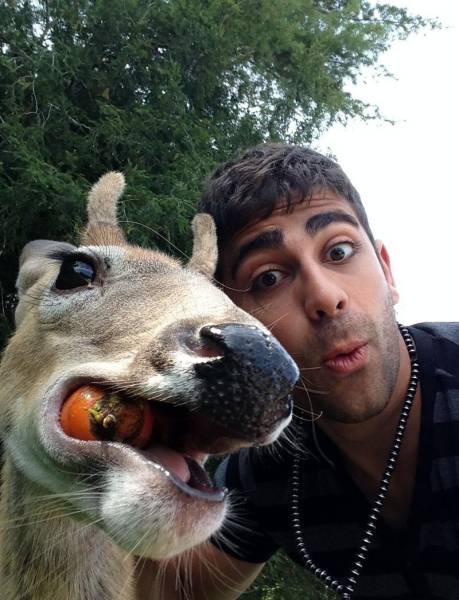 daily picdump 98 pics 37.html - 98 HD Photos | Premium Gallery 2017