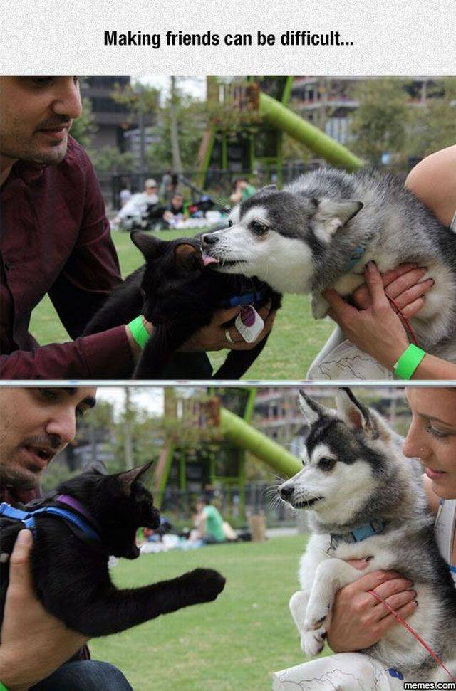 daily picdump 98 pics 37.html - 98 HD Photos | Premium Gallery 2017