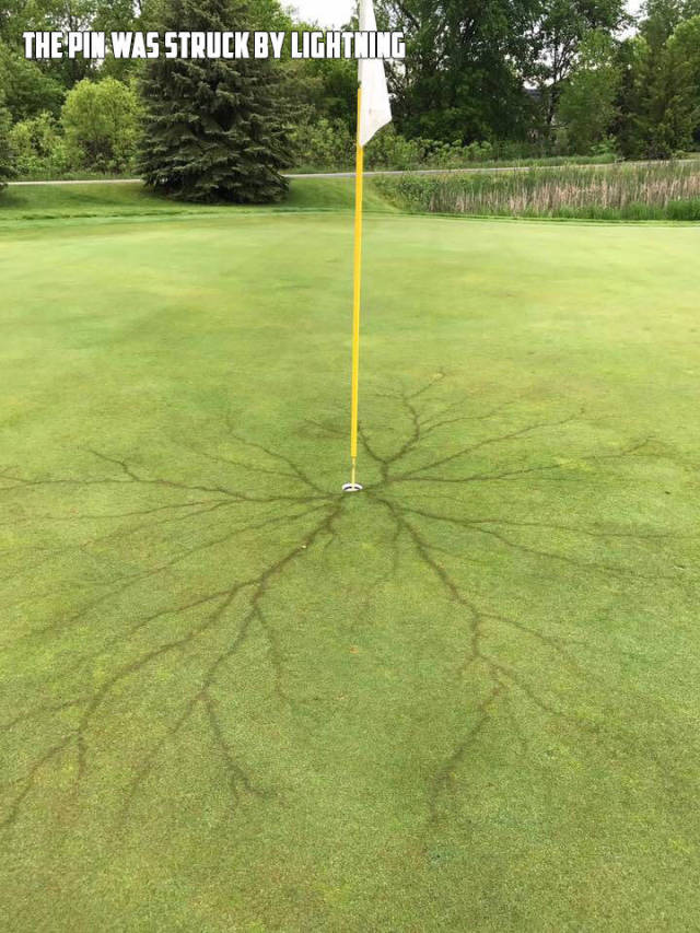 morning picdump 51 pics 11.html - 51 HD Photos | Premium Gallery 2017