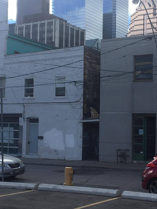 morning picdump 51 pics 11.html - 51 HD Photos | Premium Gallery 2017