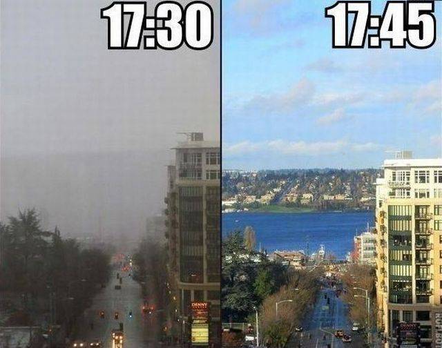 daily picdump 98 pics 42.html - 98 HD Photos | Premium Gallery 2017